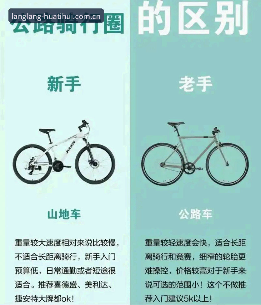新版朗朗中国晤 新手老手都该看:我的新版朗朗中国晤实战避坑指南